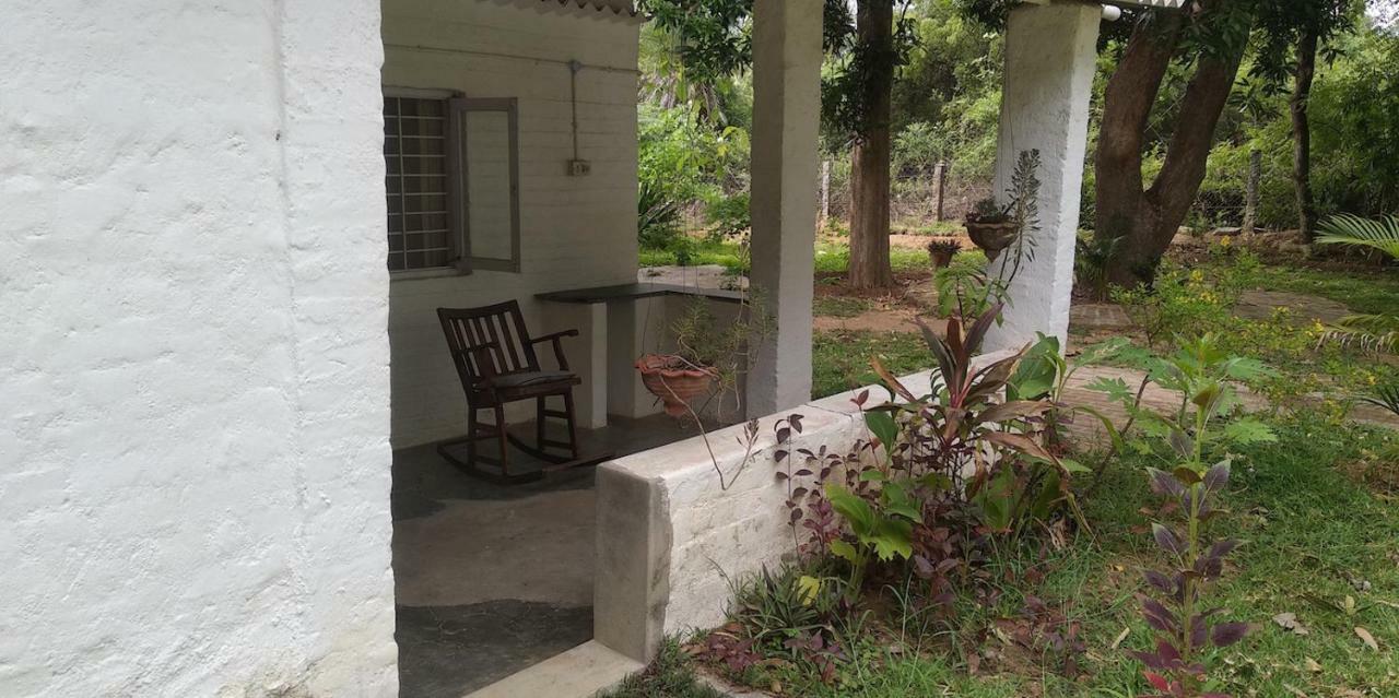 Isai Ambalam Guest House 퐁디셰리 외부 사진